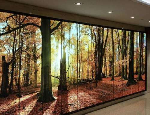 Frameless Lightbox