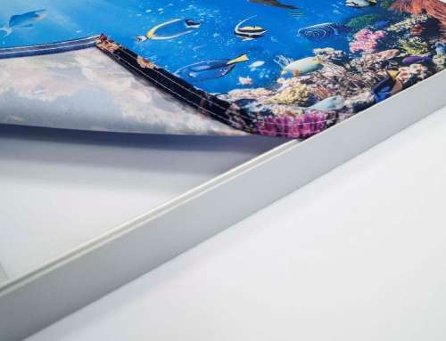 Seg Frame