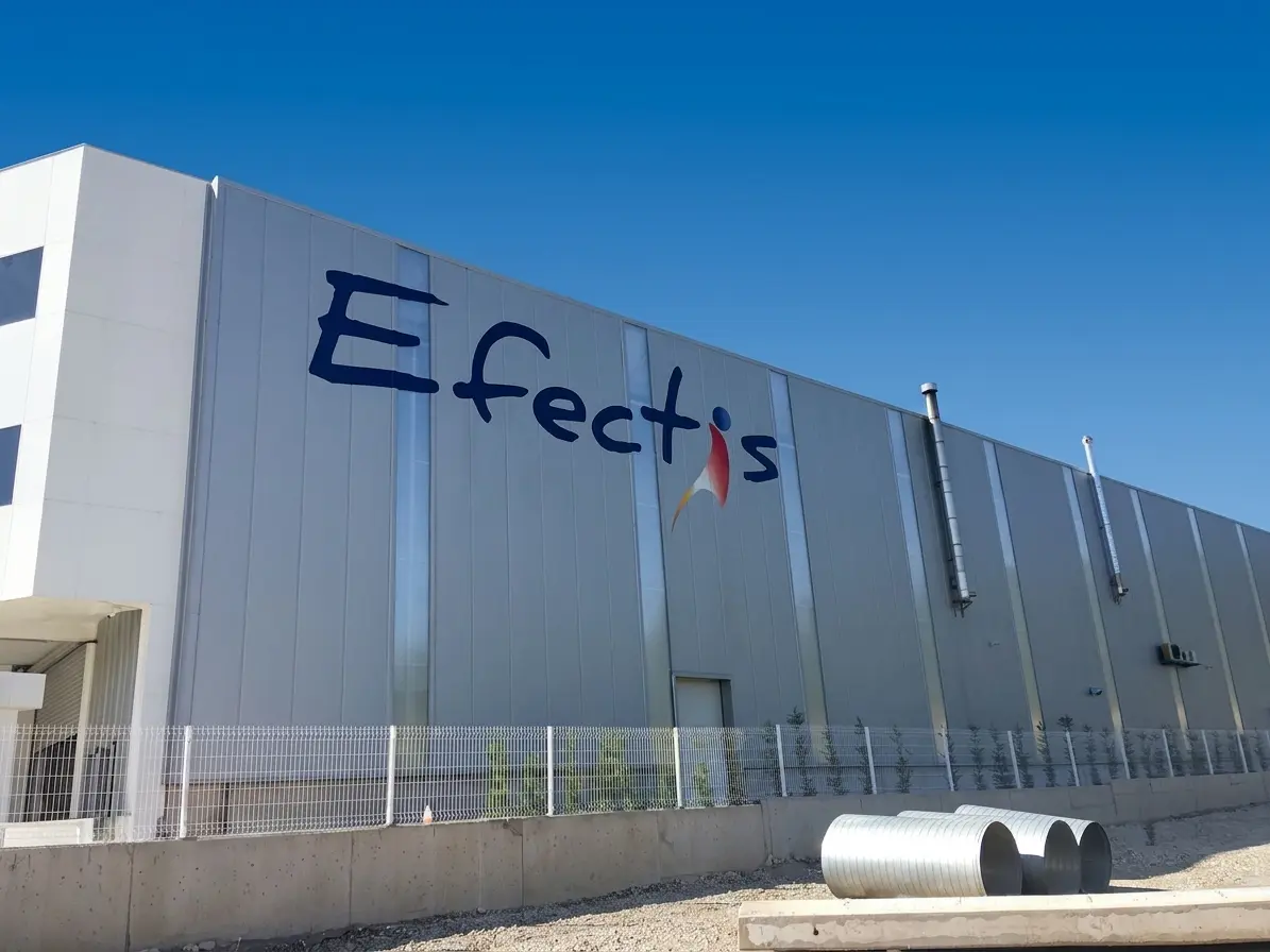 Large hand-painted Efectis logo on the industrial building side façade