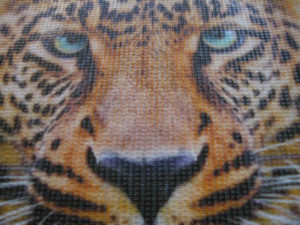 mesh digital printing