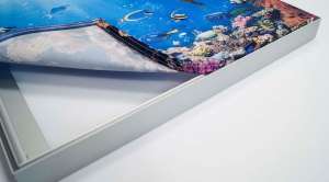 Seg Frame